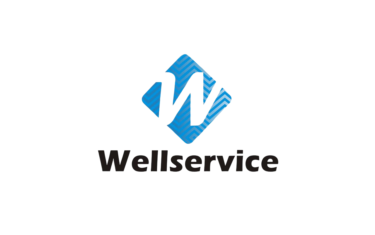 Logo Wellservice